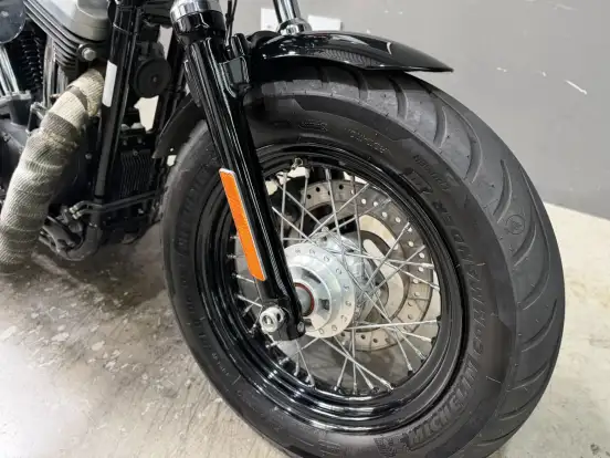 HARLEY-DAVIDSON-SPORTSTER FORTY-EIGHT-2015