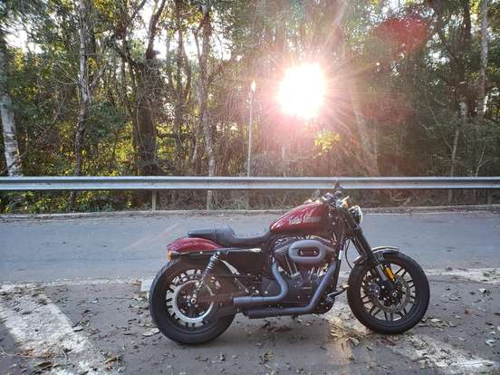 HARLEY-DAVIDSON-SPORTSTER ROADSTER-2017