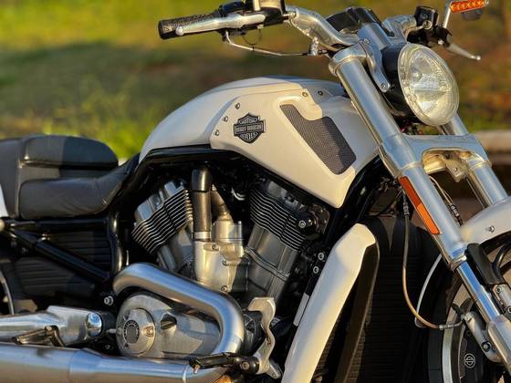 HARLEY-DAVIDSON V-ROD MUSCLE 