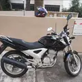 HONDA CBX 250 TWISTER HONDA CBX 250 TWISTER