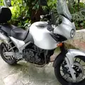 TRIUMPH TIGER S TRIUMPH TIGER S