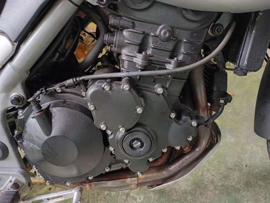 TRIUMPH-TIGER S-2005