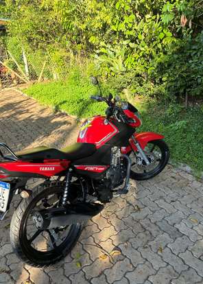 YAMAHA-FACTOR 150ED-2024