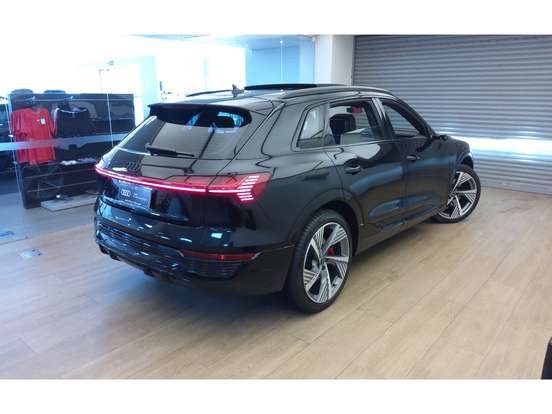 AUDI-Q8 E-TRON-2024