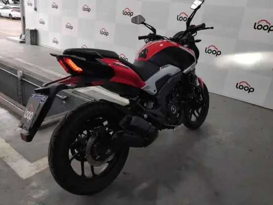 BAJAJ-DOMINAR 250 BAJAJ-DOMINAR 250-2025
