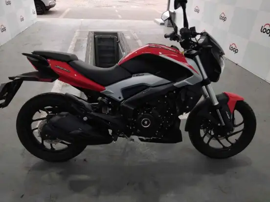 BAJAJ-DOMINAR 250 BAJAJ-DOMINAR 250-2025