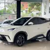 BYD DOLPHIN MINI 38 KW ELÉTRICO GL BYD DOLPHIN MINI 38 KW ELÉTRICO GL