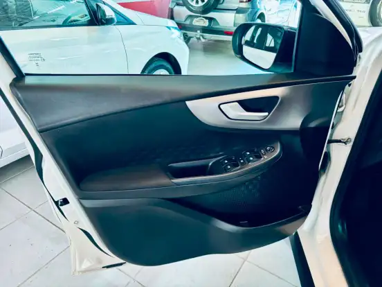 FIAT-PULSE-2024