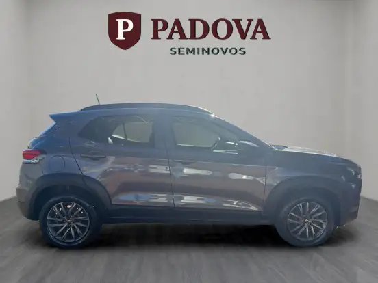 FIAT-PULSE-2024