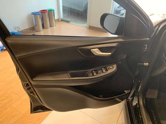 FIAT-PULSE-2024