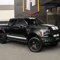 FORD F-150 5.0 V8 SHELBY 4WD SELECTSHIFT FORD F-150 5.0 V8 SHELBY 4WD SELECTSHIFT