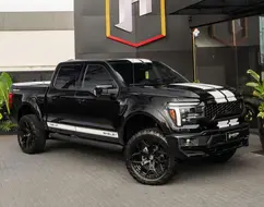 FORD F-150 5.0 V8 SHELBY 4WD SELECTSHIFT FORD F-150 5.0 V8 SHELBY 4WD SELECTSHIFT