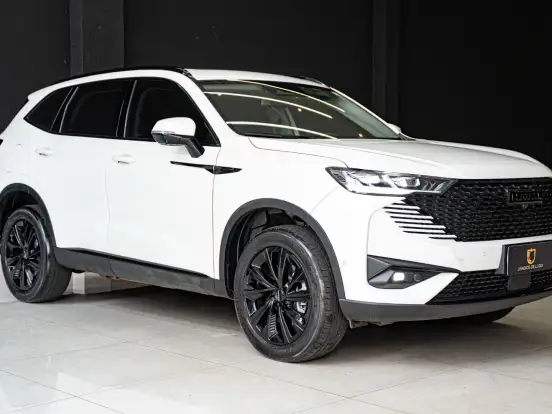 GWM-HAVAL H6-1.5 PHEV PREMIUM AWD E-TRACTION GWM-HAVAL H6-2024