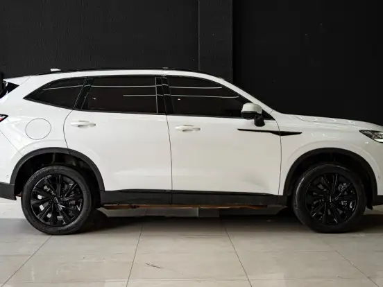 GWM-HAVAL H6-1.5 PHEV PREMIUM AWD E-TRACTION GWM-HAVAL H6-2024