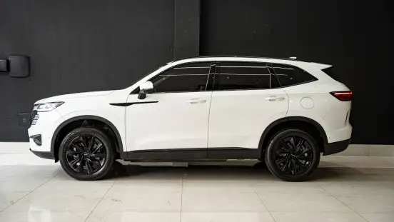 GWM-HAVAL H6-2024