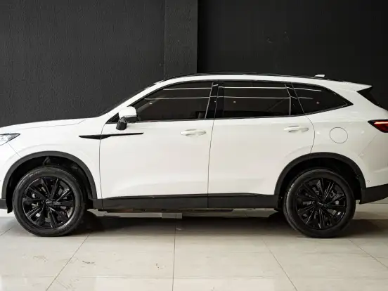 GWM-HAVAL H6-1.5 PHEV PREMIUM AWD E-TRACTION GWM-HAVAL H6-2024