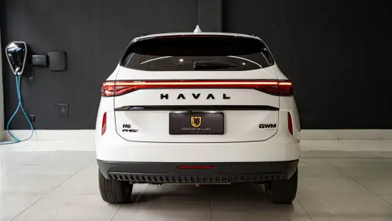 GWM-HAVAL H6-2024