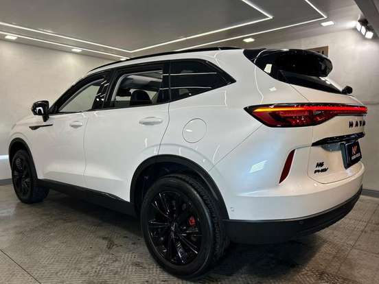 GWM-HAVAL H6-2024