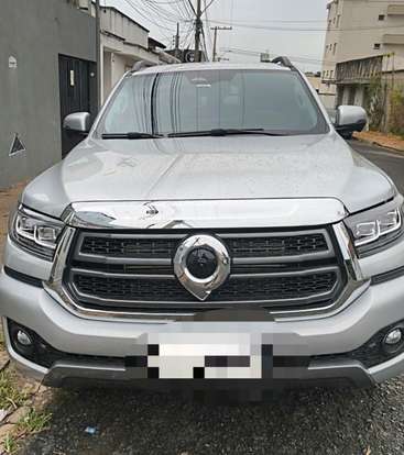 GWM-POER P30-2025
