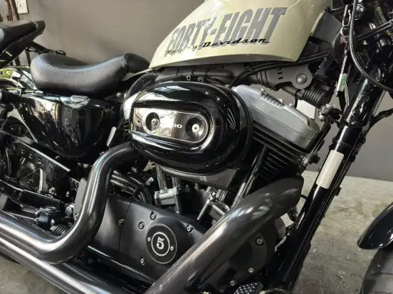 HARLEY-DAVIDSON-SPORTSTER FORTY-EIGHT HARLEY-DAVIDSON-SPORTSTER FORTY-EIGHT-2014