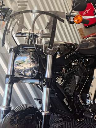 HARLEY-DAVIDSON-SOFTAIL BREAKOUT 114-2021