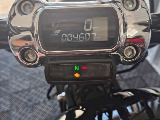HARLEY-DAVIDSON-SOFTAIL BREAKOUT 114 HARLEY-DAVIDSON-SOFTAIL BREAKOUT 114-2021