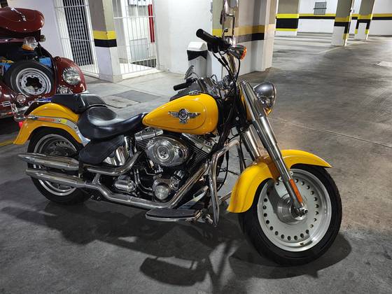 HARLEY-DAVIDSON SOFTAIL FAT BOY 