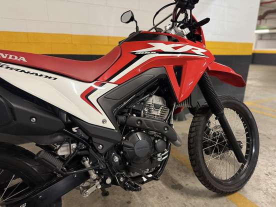 HONDA-XR 300L TORNADO-2024