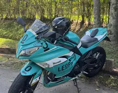 KAWASAKI NINJA 300 KAWASAKI NINJA 300