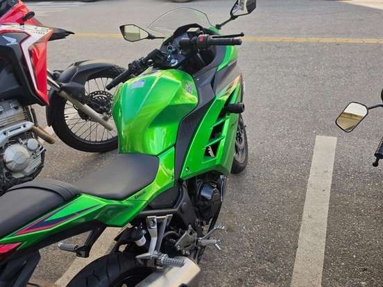 KAWASAKI-NINJA 300 KAWASAKI-NINJA 300-2024
