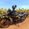ROYAL ENFIELD HIMALAYAN 450 HANLE BLACK ROYAL ENFIELD HIMALAYAN 450 HANLE BLACK