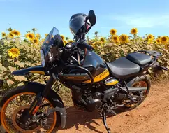 ROYAL ENFIELD HIMALAYAN 450 HANLE BLACK ROYAL ENFIELD HIMALAYAN 450 HANLE BLACK