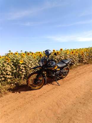 ROYAL ENFIELD-HIMALAYAN 450 HANLE BLACK-2025