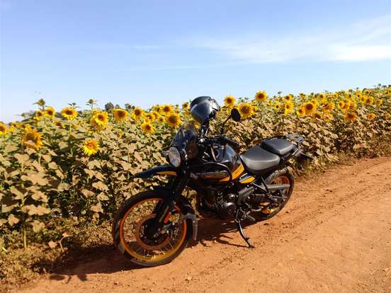 ROYAL ENFIELD-HIMALAYAN 450 HANLE BLACK ROYAL ENFIELD-HIMALAYAN 450 HANLE BLACK-2025