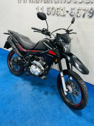 SHINERAY-SHI 175-2024