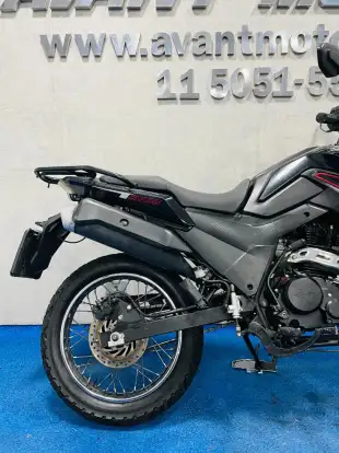 SHINERAY-SHI 175-2024