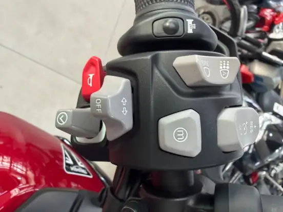 TRIUMPH-TIGER 900 GT PRO-2024