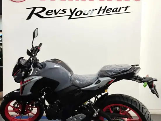 YAMAHA-FZ25 FAZER CONNECTED ABS YAMAHA-FZ25 FAZER CONNECTED ABS-2026