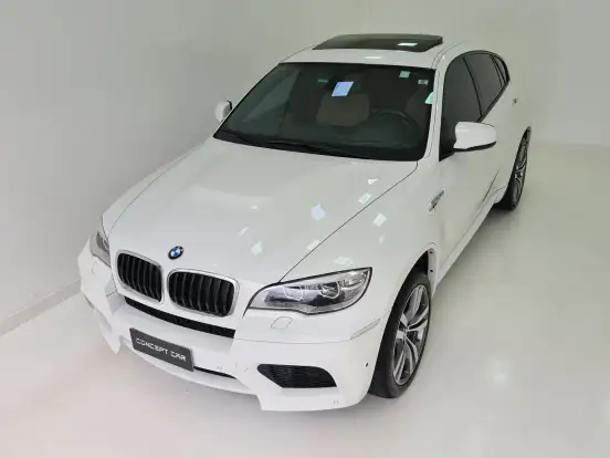 BMW-X6-2013