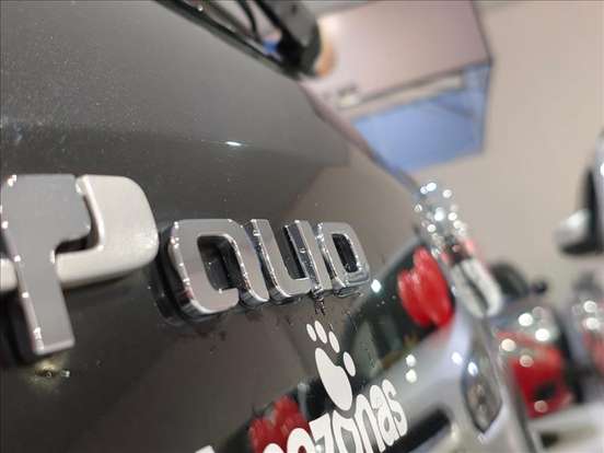 FIAT-PALIO-2013
