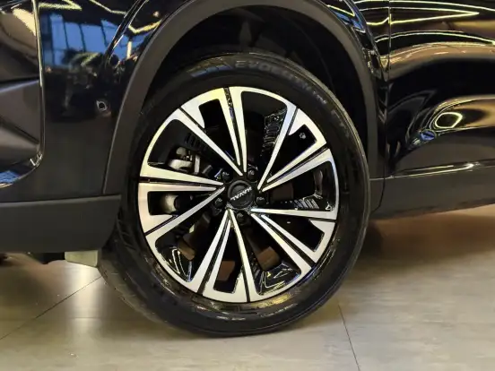 GWM-HAVAL H6-1.5 PHEV19 E-TRACTION GWM-HAVAL H6-2024