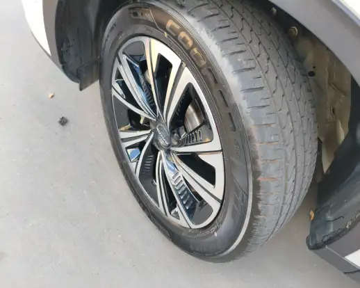 GWM-HAVAL H6-1.5 PHEV19 E-TRACTION GWM-HAVAL H6-2025