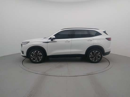 GWM-HAVAL H6-2024