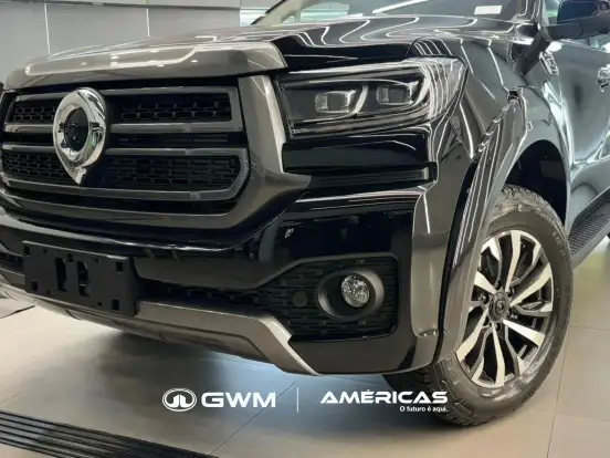 GWM-POER P30-2026