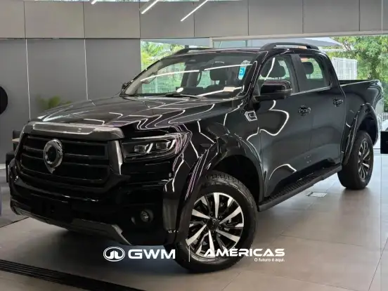 GWM-POER P30-2026
