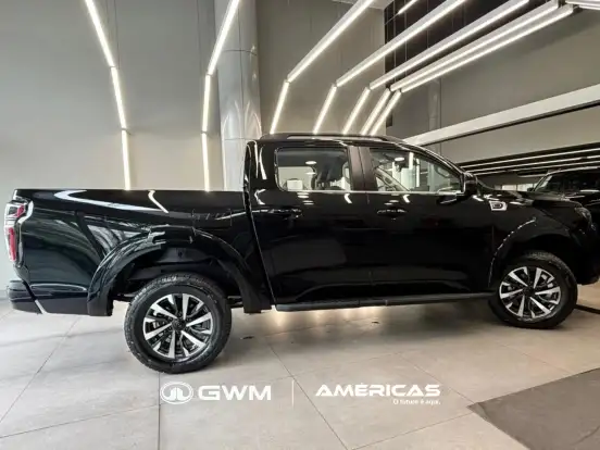 GWM-POER P30-2026