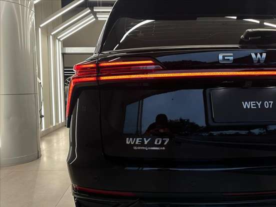 GWM-WEY 07-2025