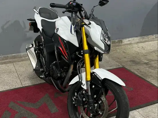 HAOJUE-DR 160 FI HAOJUE-DR 160 FI-2022