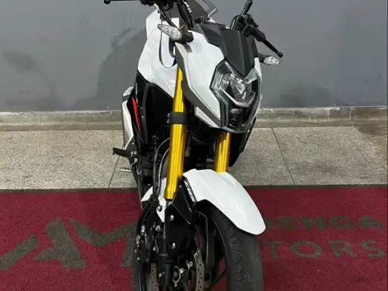 HAOJUE-DR 160 FI HAOJUE-DR 160 FI-2022