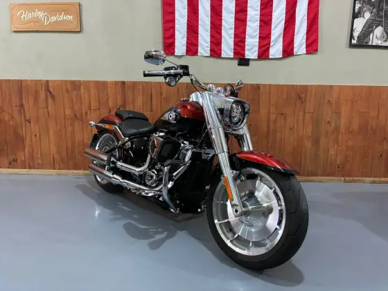 HARLEY-DAVIDSON SOFTAIL FAT BOY 117 